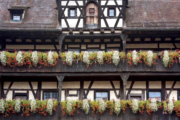 Floral decoration on pergolas at Alte Hofhaltung or Old Court