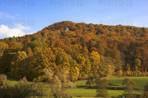 Autumnal landscape