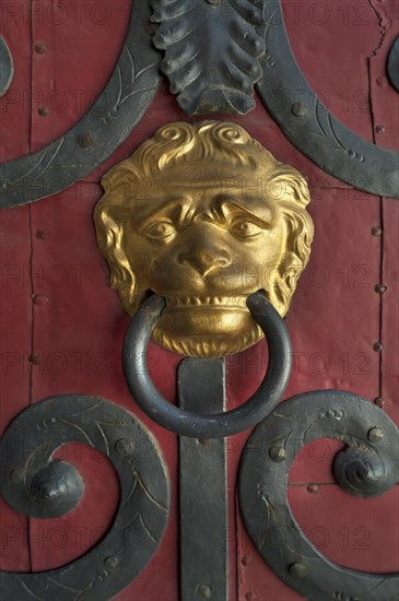 Gilded lion head door knocker