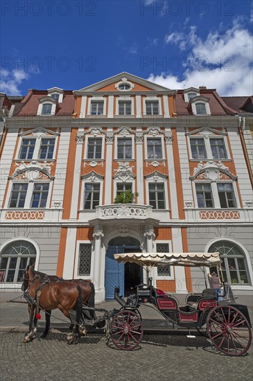 Baroque Napoleonhaus building