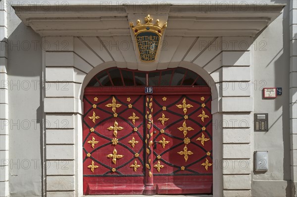 Entrance door with leaf gold