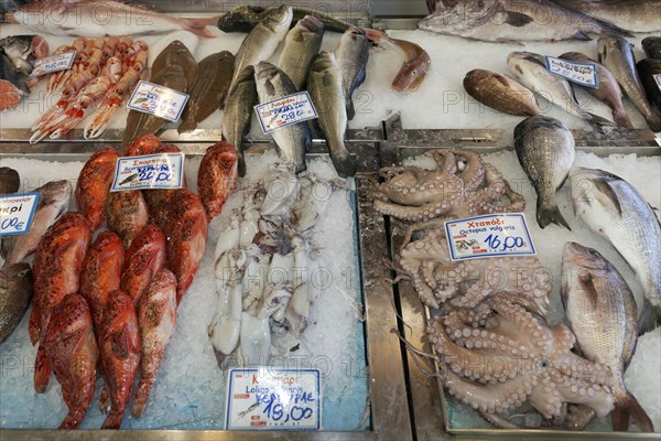 Various fish and seafood at the fish market