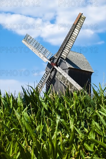 Windmill