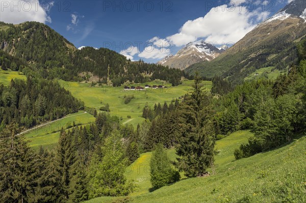 Mountain landscape with farmhouses