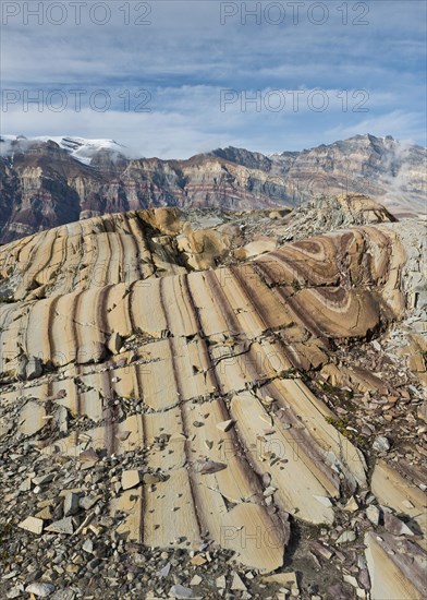 Limestone coloured red by iron and whitish-yellow dolomite