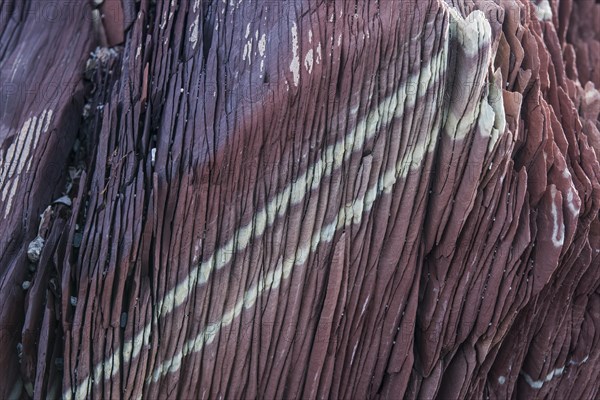 Limestone coloured red by iron and whitish-yellow dolomite