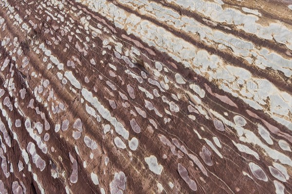 Limestone coloured red by iron and whitish-yellow dolomite