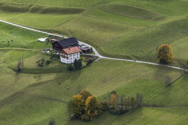 Farmyard