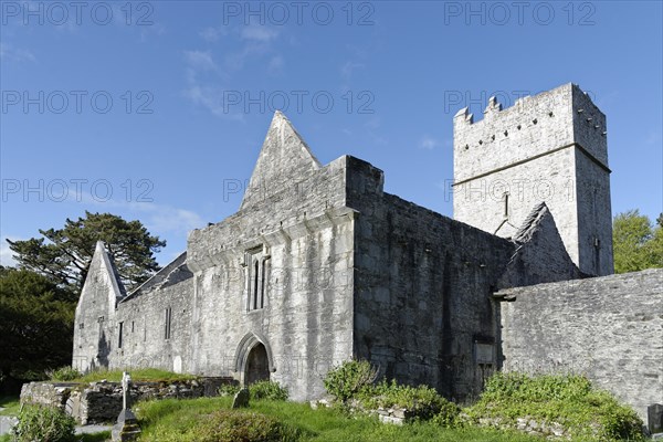 Muckross Abbey