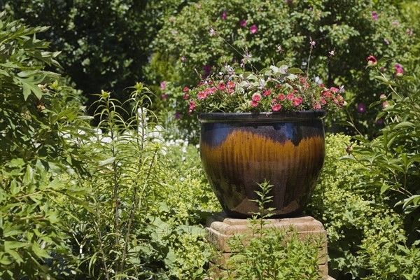 Ceramic planter on a pedestal with purple Petunia flowers (Petunia sp.) flanked by country garden