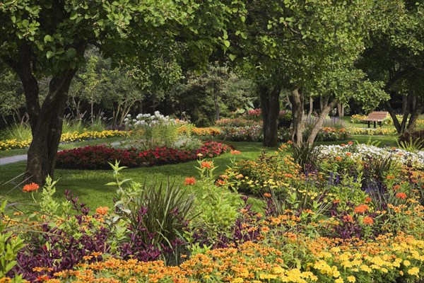 Border with Tagetes (Tagetes sp.) and Zinnia (Zinnia sp.) flowers