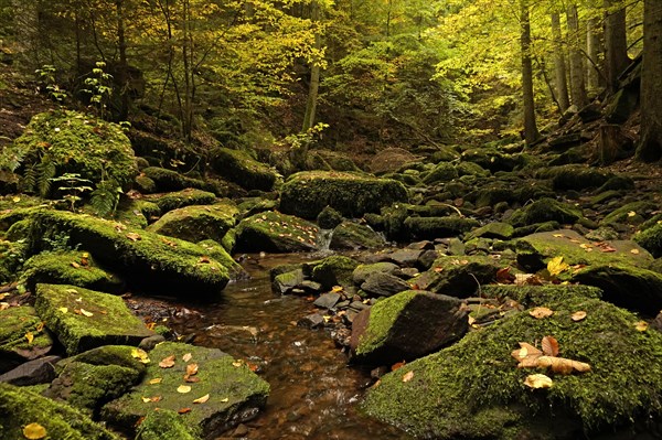 Landscape in Monbachtal in Bad Liebenzell