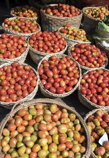Tomatoes in baskets
