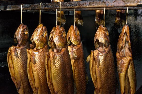 Smoked trout hang strung on the hook for sale