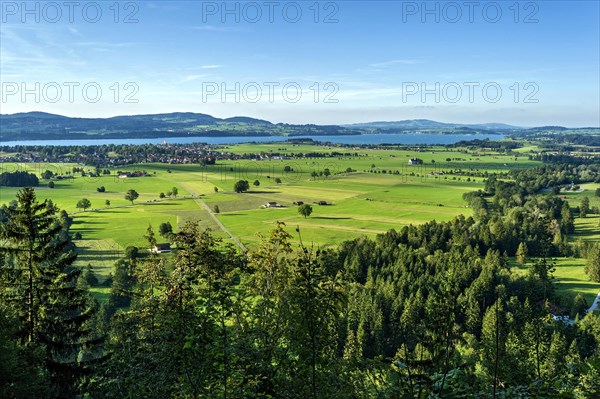 Schwanengau plain with lake Forggensee