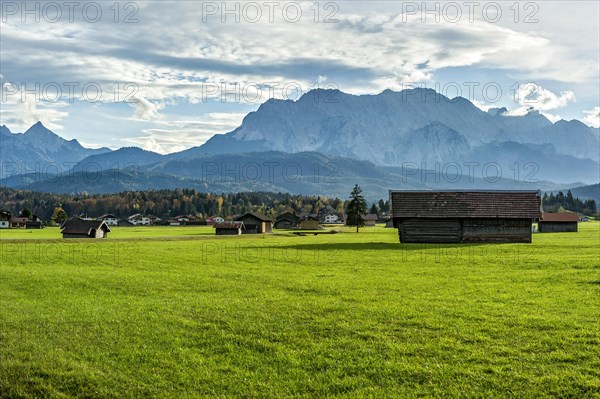 Meadow with hay huts