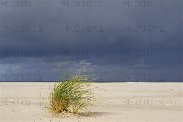 Wide sandy beach