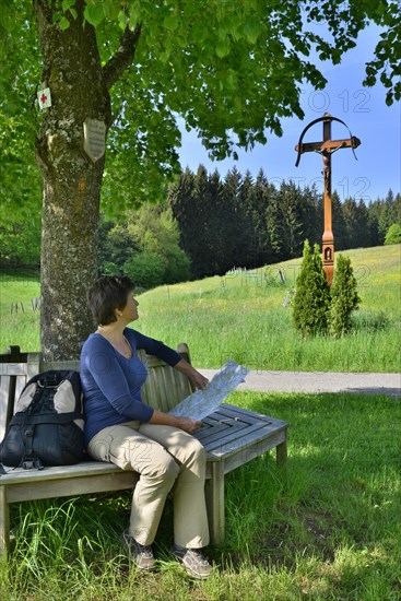 Woman sitting on bench under a tree