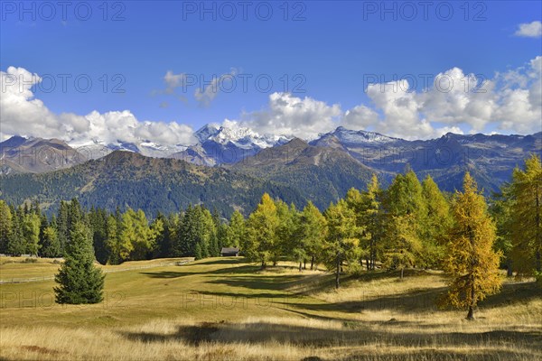 Cultural landscape with larches