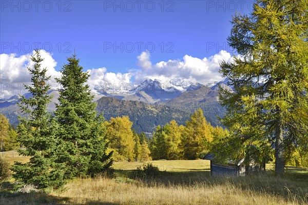 Cultural landscape with larches