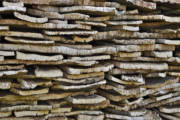 Stacked cork bark of cork oak (Quercus suber)