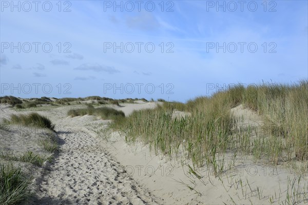 Dunes of De Hors