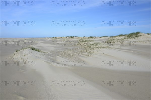 Dunes of De Hors