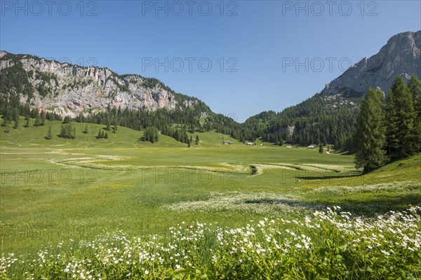 Wurzeralm