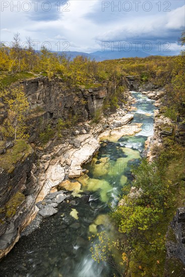 Autumn in Abisko canyon