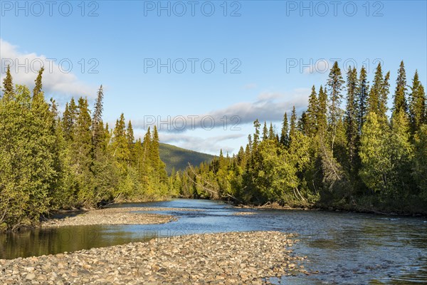 River landscape