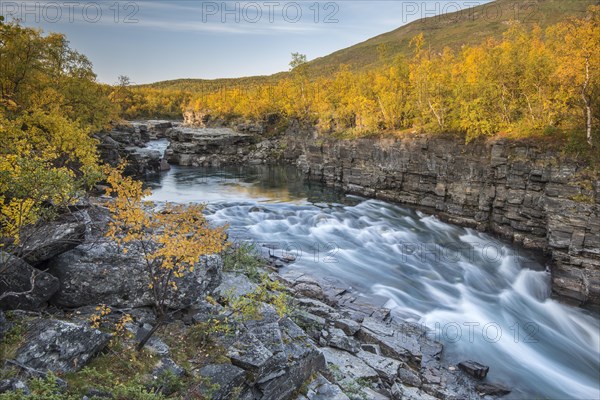 Autumnal Abisko canyon