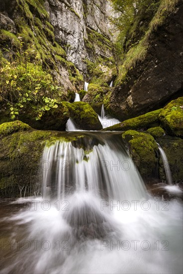 Forest stream in Hartelsgraben