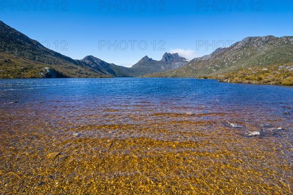 Dove Lake and Cradle Mountain