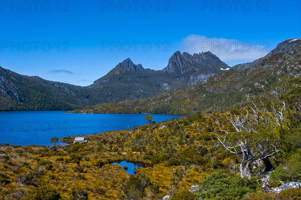 Dove Lake and Cradle Mountain