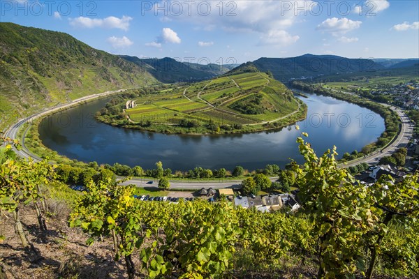 River bend of the Moselle