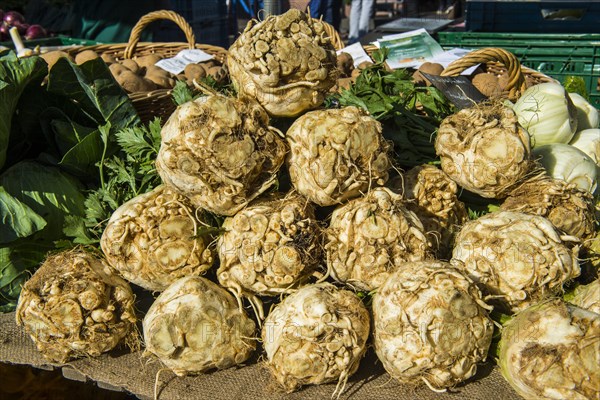 Fresh celeriacs for sale