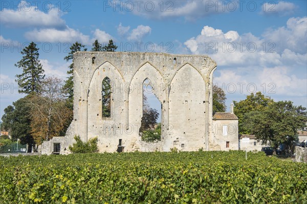 Chateau Les Grandes Murailles