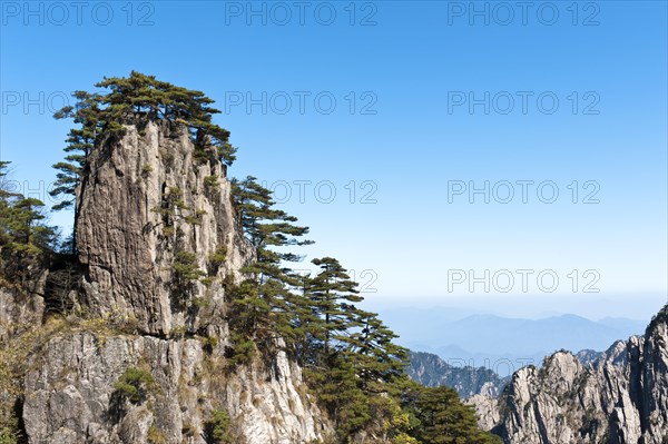 Bizarre towering rocks and mountains overgrown with Huangshan pines (Pinus hwangshanensis)