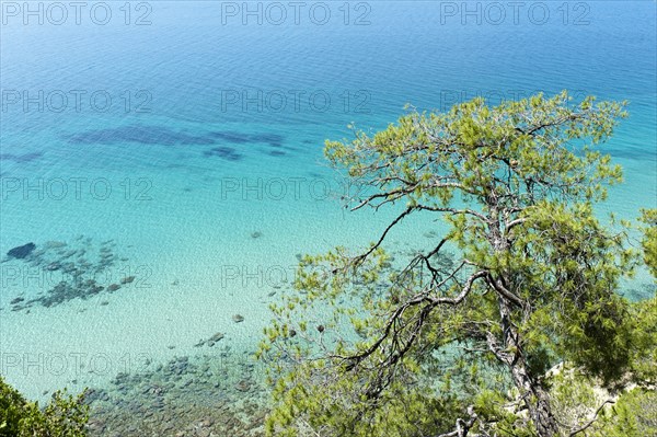 Turquoise clear water