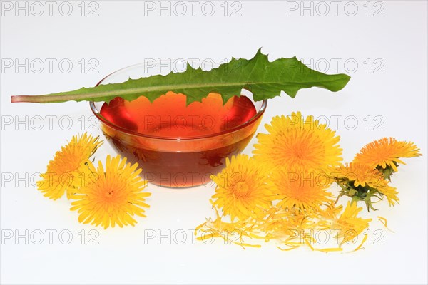 Bowl of dandelion syrup