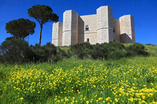 Castel del Monte