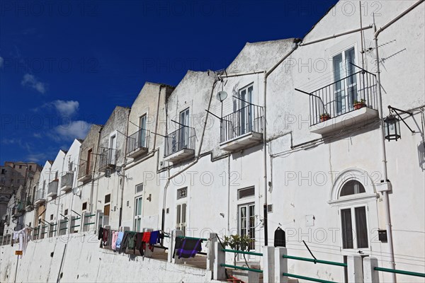 White houses along the road