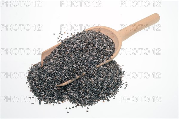 Chia seeds (Salvia hispanica)