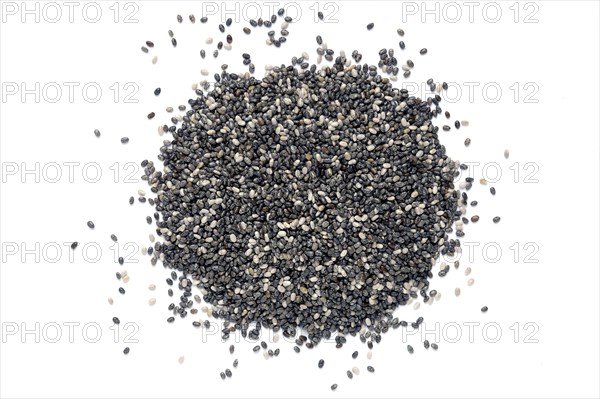 Chia seeds (Salvia hispanica)