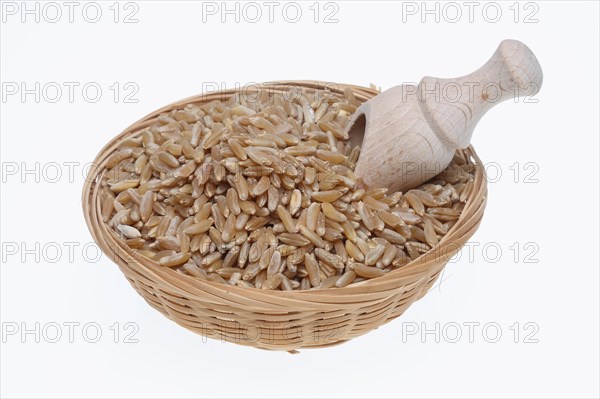 Ancient grain