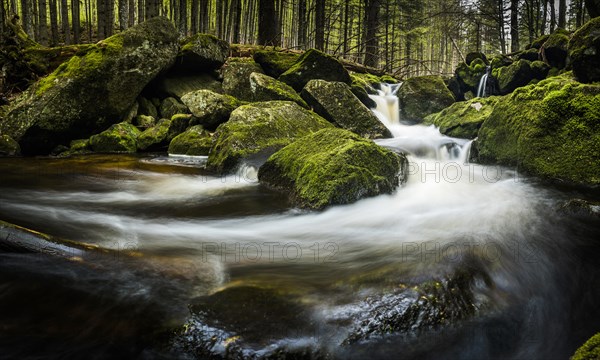 Mountain stream with mossy stones in mountain forest