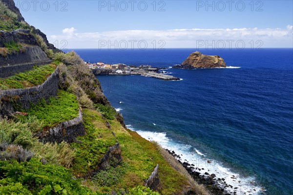 Vines on steep slopes