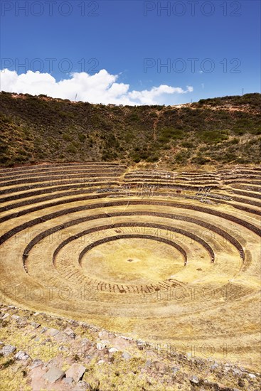 Inca terraces in the Sacred Valley