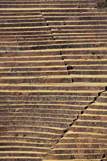 Inca terraces