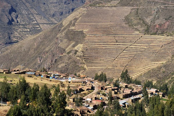 Inca terraces